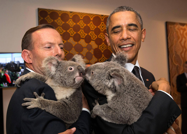 President Obama is hugged by a koala bear before the start of the first G20 meeting on November 15, 2014 in Brisbane, Australia.