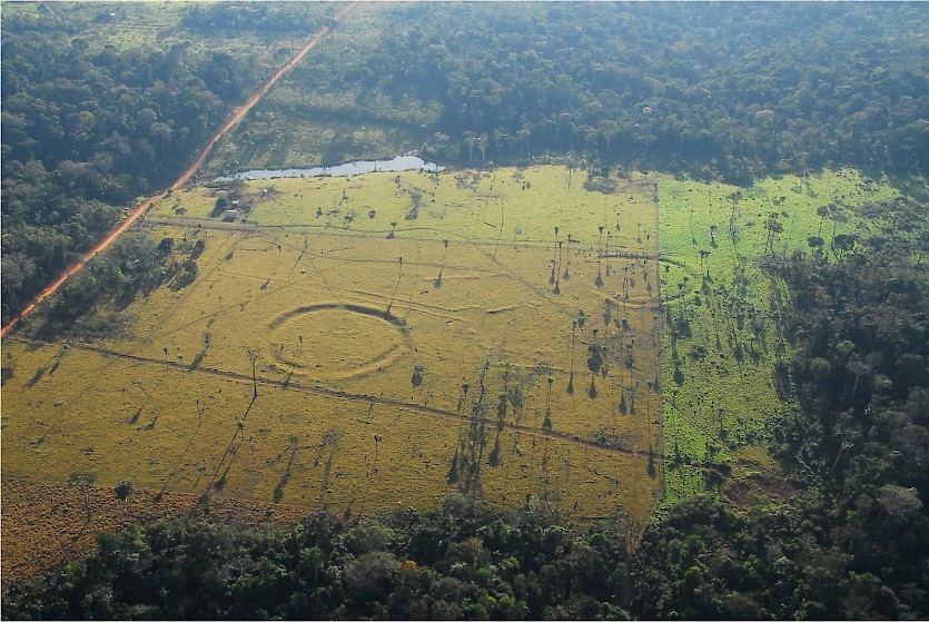 Geoglyphs between 1,000 and 2,000 years old have been discovered in the Amazonian region of Pará in Brazil since the 1970s as a result of increasing deforestation.