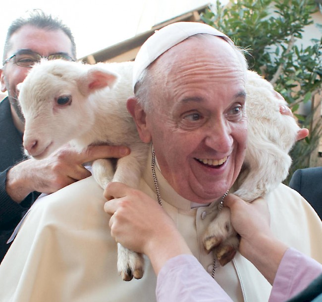 Pope Francis snuggles a baby lamb at the living nativity scene at a church outside Rome on January 6, 2014. <i>The Huffington Post</i>, January 7, 2014.